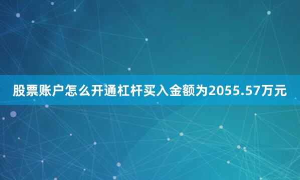 股票账户怎么开通杠杆买入金额为2055.57万元