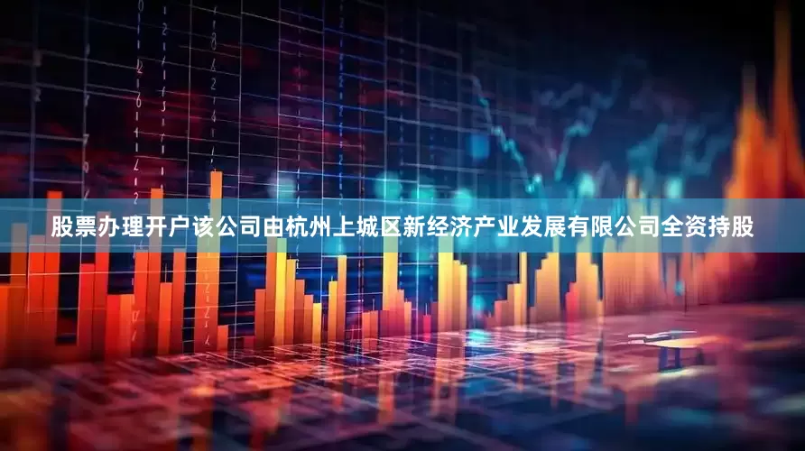 股票办理开户该公司由杭州上城区新经济产业发展有限公司全资持股