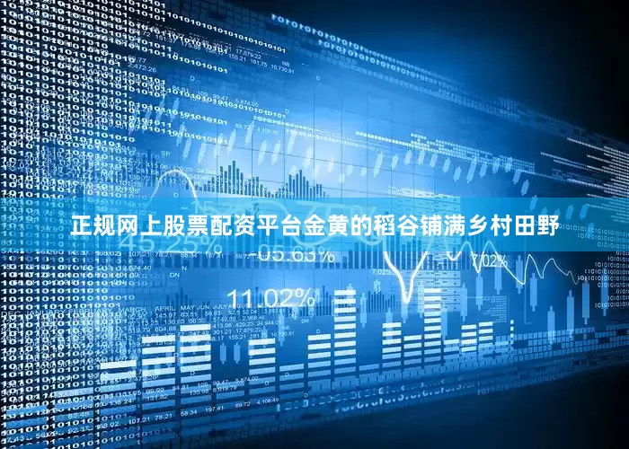 正规网上股票配资平台金黄的稻谷铺满乡村田野